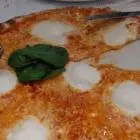 Foto 11 Trattoria Pizzeria Bompiani